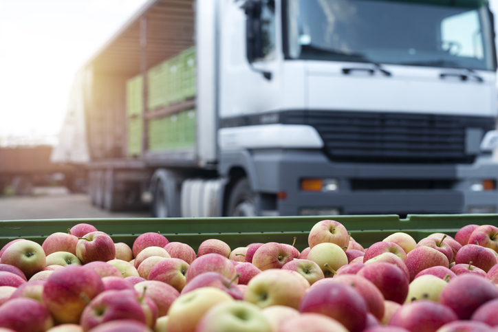 A ciência dos dados ajuda o transporte de alimentos