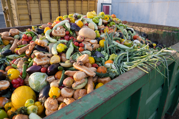 Harnessing the Power of Data Science to Combat Food Waste